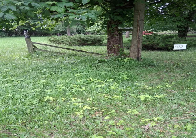 Photo 4 of Land for sale at Lot S 087 Deer Path Dr, Knox, IN 46534 | MLS# 840391 | Listing updated on 2026-06-22