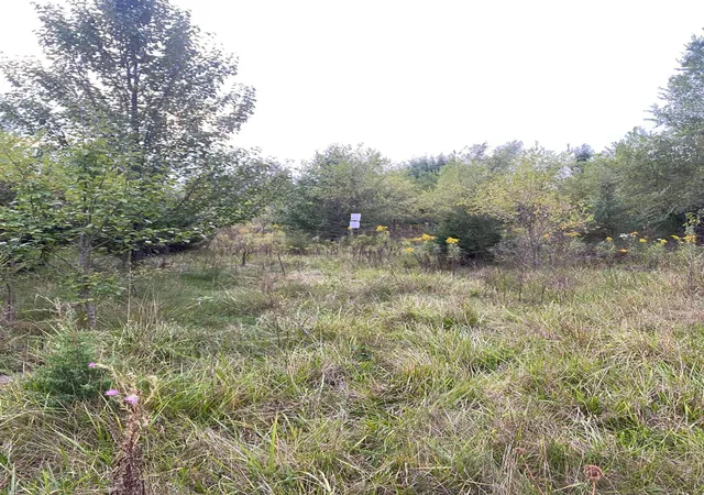 Photo 3 of Land for sale at Yonan Air Port Sw Cor Wash, Hobart, IN 46342 | MLS# 840651 | Listing updated on 2026-06-17