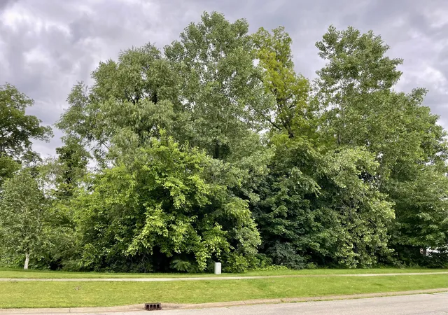 2nd image of 887 Hemingway Trl, Valparaiso, IN 46383 | MLS# 841270
