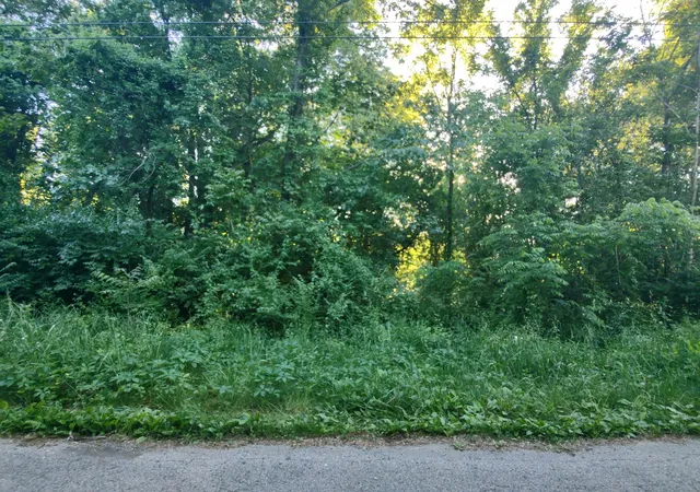 2nd image of 902 Beech St, North Judson, IN 46366 | MLS# 841642