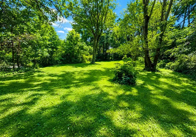 4th image of 13954 Lauerman St, Cedar Lake, IN 46303 | MLS# 841886