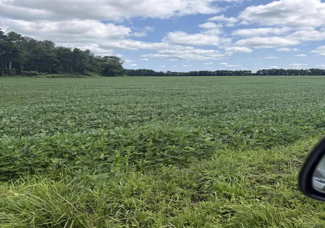 Photo 1 of Land for sale at 7606 S Young Rd, La Porte, IN 46350 | MLS# 842673 | Listing updated on 2026-07-22