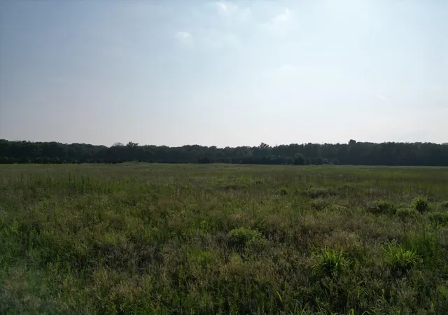 2nd image of 10254 N 950 W, De Motte, IN 46310 | MLS# 842833