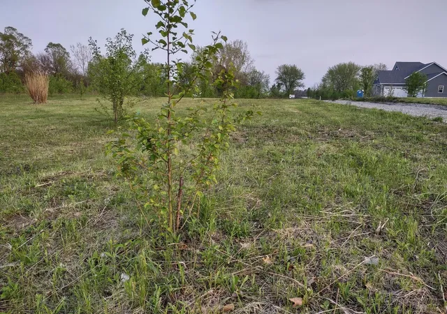 Photo 2 of Land for sale at 11 N 281 West, Valparaiso, IN 46385 | MLS# 843162 | Listing updated on 2026-09-24
