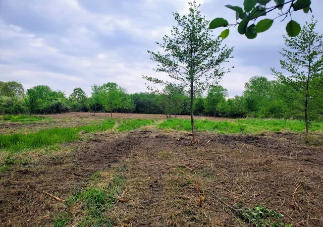 Photo 3 of Land for sale at 13196 County Line Rd, Crown Point, IN 46307 | MLS# 844497 | Listing updated on 2026-08-28