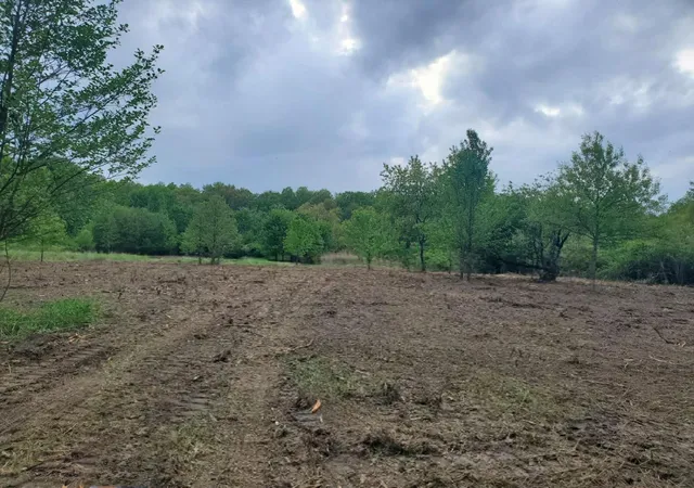 Photo 4 of Land for sale at 13196 County Line Rd, Crown Point, IN 46307 | MLS# 844497 | Listing updated on 2026-08-28