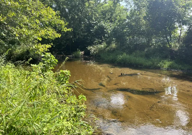 Photo 1 of Land for sale at 6280 E 25 North, Knox, IN 46534 | MLS# 844658 | Listing updated on 2026-09-01