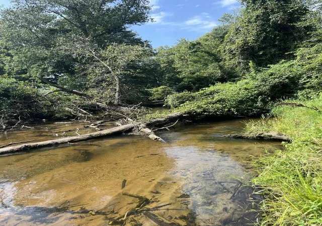 Photo 2 of Land for sale at 6280 E 25 North, Knox, IN 46534 | MLS# 844658 | Listing updated on 2026-09-01