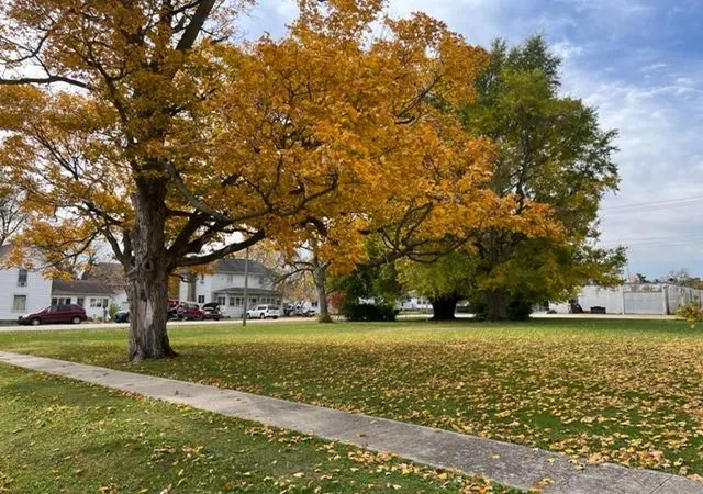 Photo 1 of Land for sale at 322 S James St, Goodland, IN 47948 | MLS# 845261 | Listing updated on 2026-09-14