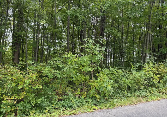 Land for sale at 0 U.s Hwy 20, Chesterton, IN 46304 | MLS# 845751