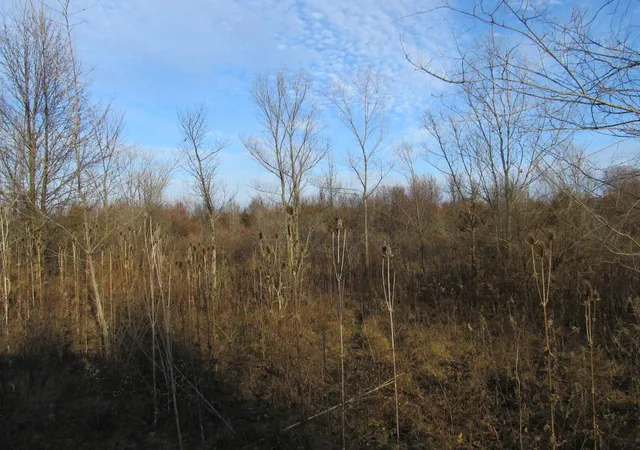 Photo 1 of Land for sale at 0 Lot 8 Grant St, Merrillville, IN 46410 | MLS# 845975 | Listing updated on 2026-09-28