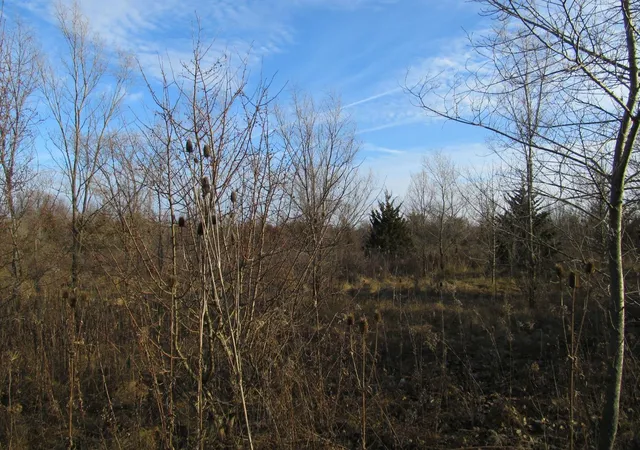 Photo 2 of Land for sale at 0 Lot 9 Grant St, Merrillville, IN 46410 | MLS# 845976 | Listing updated on 2026-09-28