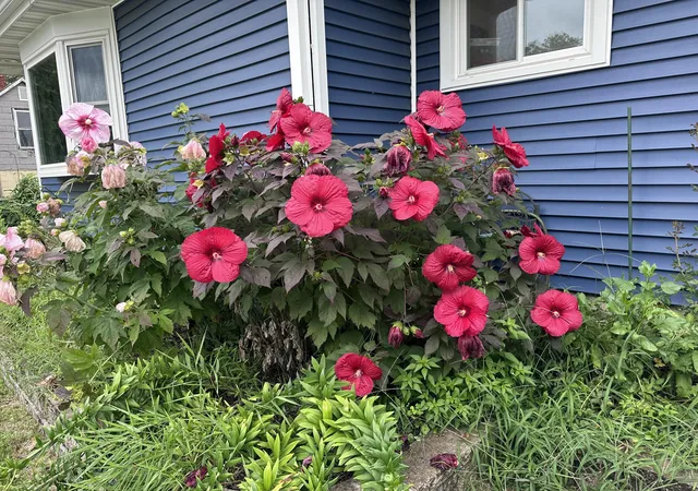 Photo 1 of Single family home for sale at 2489 Spencer St, Lake Station, IN 46405 | MLS# 846468 | Listing updated on 2026-10-07