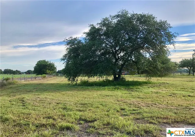 Photo 3 of Land for sale at Lot 1 Pvt 1672, Hallettsville, TX 77964 | MLS# 473968 | Listing updated on 2026-05-18