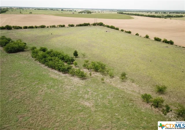 Photo 3 of Land for sale at 1350 County Road 248, Gatesville, TX 76528 | MLS# 474765 | Listing updated on 2026-06-03