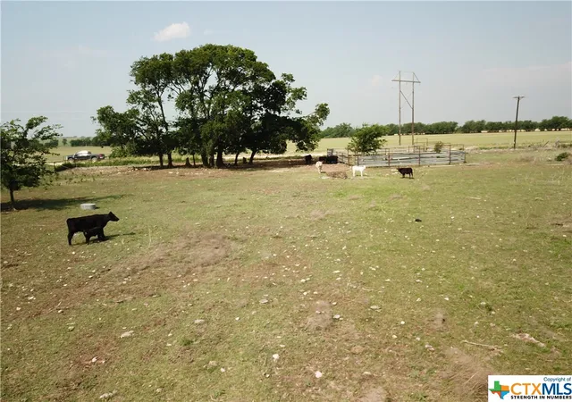 Photo 3 of Land for sale at 1230 County Road 248, Gatesville, TX 76528 | MLS# 474768 | Listing updated on 2026-06-03