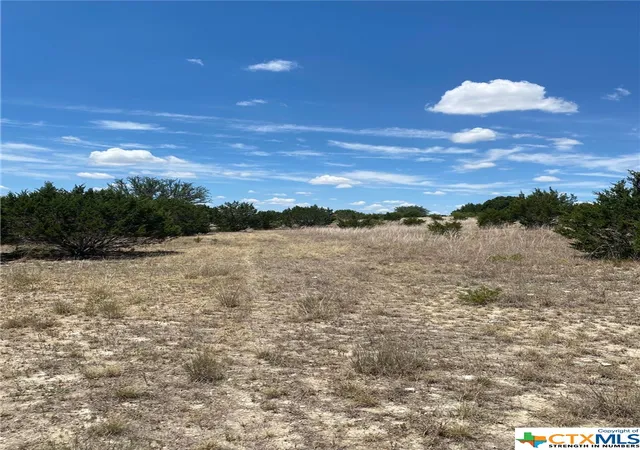 Homes for sale in Kempner, TX | Lot 139 High Point Dr, Kempner, TX 76539 | MLS# 480904