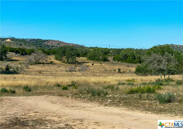12th image of T B D 281 Hwy, Blanco, TX 78606 | MLS# 493302