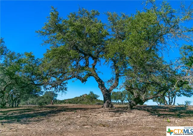 3rd image of T B D 281 Hwy, Blanco, TX 78606 | MLS# 493302