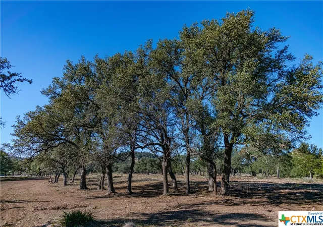 5th image of T B D 281 Hwy, Blanco, TX 78606 | MLS# 493302