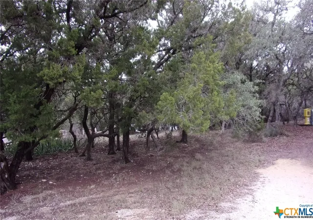 Photo 1 of Land for sale at Lot 46 Mountain Wood, Canyon Lake, TX 78133 | MLS# 494085 | Listing updated on 2026-07-09