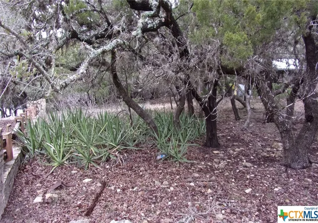 Photo 2 of Land for sale at Lot 46 Mountain Wood, Canyon Lake, TX 78133 | MLS# 494085 | Listing updated on 2026-07-09