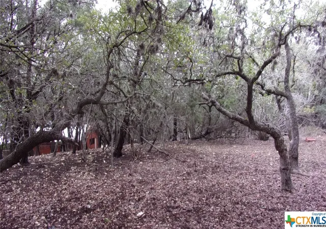 Photo 4 of Land for sale at Lot 46 Mountain Wood, Canyon Lake, TX 78133 | MLS# 494085 | Listing updated on 2026-07-09