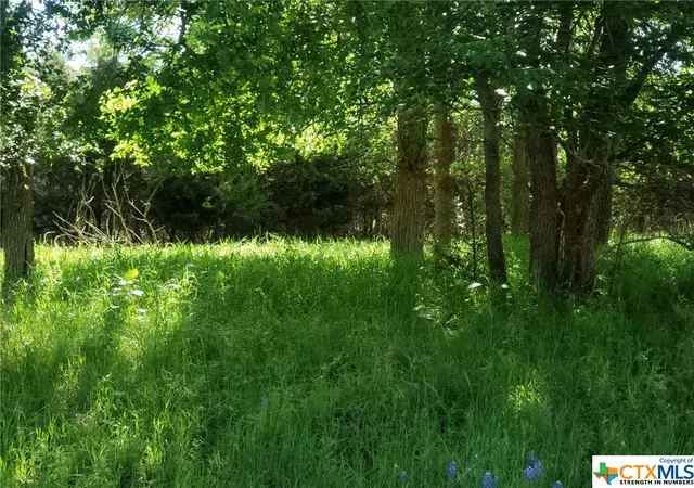 Photo 2 of Land for sale at Tbd Jack Nicklaus Cir, Salado, TX 76571 | MLS# 503195 | Listing updated on 2026-04-21