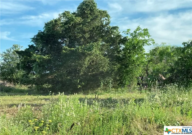 Photo 2 of Land for sale at 100 Bunny Run @ Garret Trail Rd, Maxwell, TX 78656 | MLS# 506495 | Listing updated on 2026-05-20