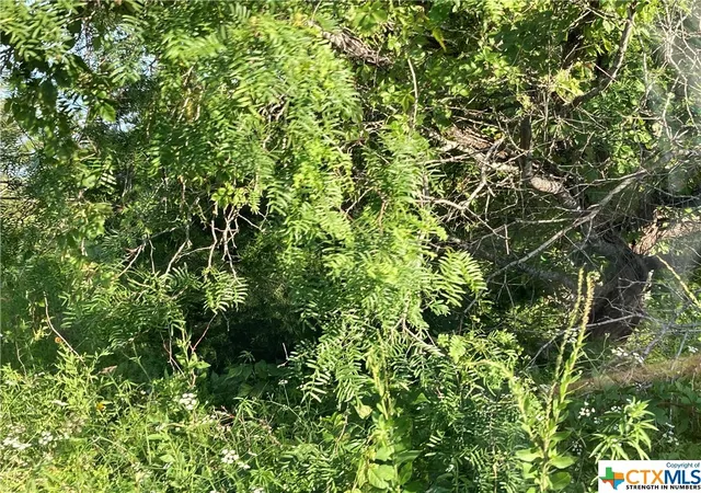 Photo 3 of Land for sale at 100 Bunny Run @ Garret Trail Rd, Maxwell, TX 78656 | MLS# 506495 | Listing updated on 2026-05-20