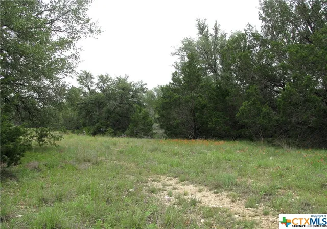 Homes for sale in Evant, TX | Lot 41 Phase 6 Pr42107, Evant, TX 76525 | MLS# 509010
