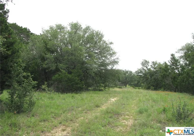 Homes for sale in Evant, TX | Lot 41 Phase 6 Pr42107, Evant, TX 76525 | MLS# 509010