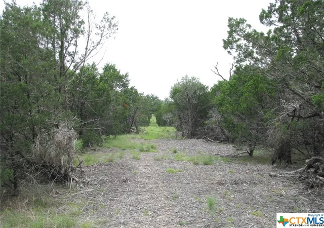 3rd image of Lot 41 Phase 6 Pr42107, Evant, TX 76525 | MLS# 509010