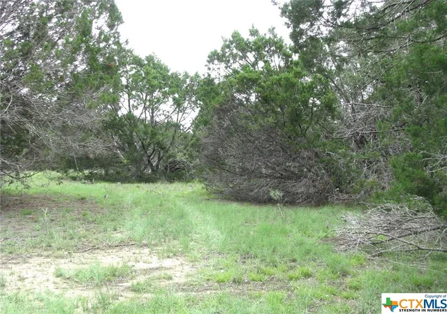 4th image of Lot 41 Phase 6 Pr42107, Evant, TX 76525 | MLS# 509010