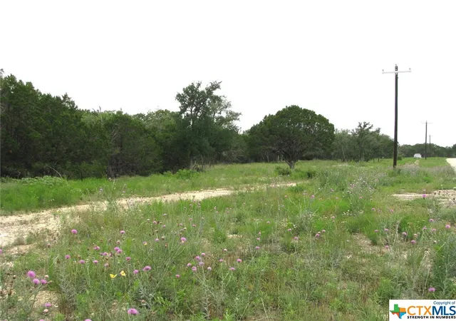 5th image of Lot 41 Phase 6 Pr42107, Evant, TX 76525 | MLS# 509010