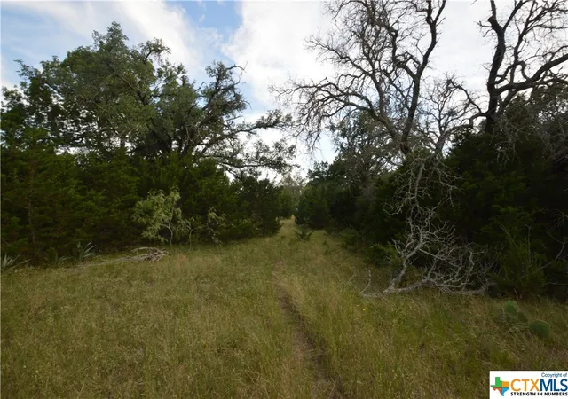 Photo 11 of Land for sale at 17426 Us Hwy 183, Lometa, TX 76853 | MLS# 512554 | Listing updated on 2026-07-10