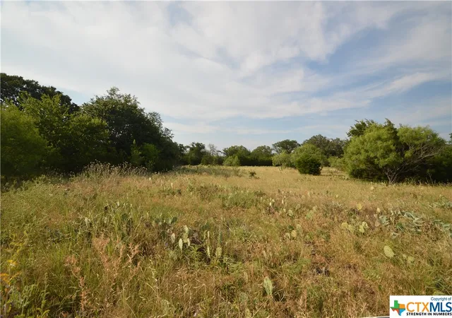 Photo 2 of Land for sale at 17426 US Hwy 183, Lometa, TX 76853 | MLS# 512554 | Listing updated on 2026-07-10