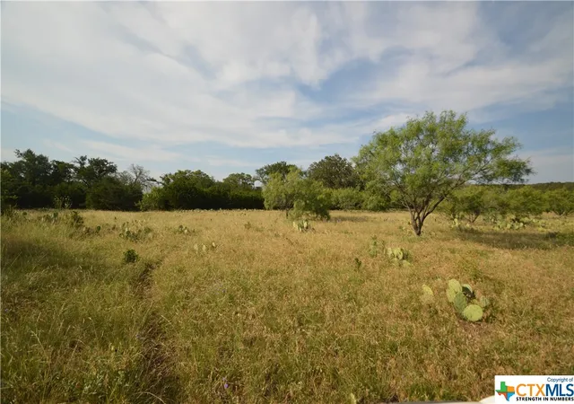 Photo 3 of Land for sale at 17426 US Hwy 183, Lometa, TX 76853 | MLS# 512554 | Listing updated on 2026-07-10