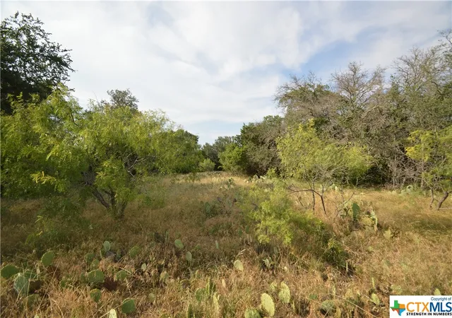 Photo 4 of Land for sale at 17426 US Hwy 183, Lometa, TX 76853 | MLS# 512554 | Listing updated on 2026-07-10