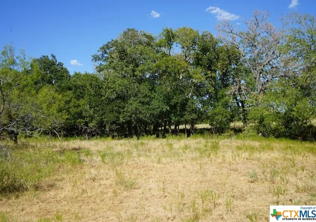 2nd image of Tbd Tr 1 Cr 236a, Milano, TX 76556 | MLS# 517050