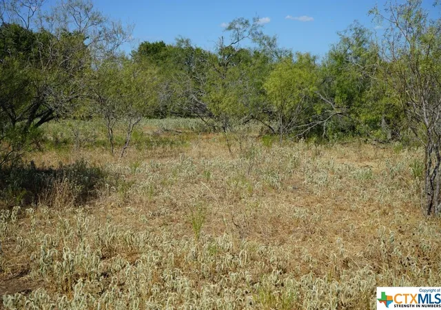 Photo 3 of Land for sale at Tbd Tr 1 Cr 236a, Milano, TX 76556 | MLS# 517050 | Listing updated on 2026-08-02