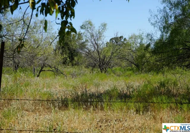 Photo 3 of Land for sale at Tbd Tr 1 Cr 236A, Milano, TX 76556 | MLS# 517050 | Listing updated on 2026-08-02