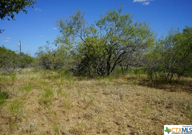 Photo 4 of Land for sale at Tbd Tr 1 Cr 236A, Milano, TX 76556 | MLS# 517050 | Listing updated on 2026-08-02