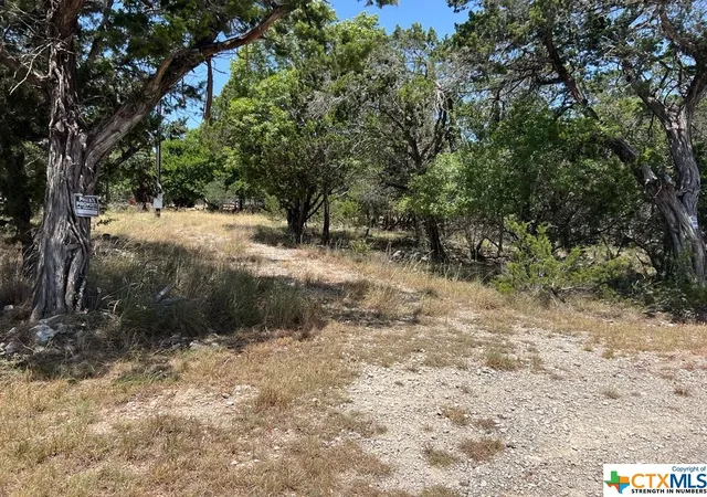 Homes for sale in Canyon Lake, TX | 619 Cactus Flower, Canyon Lake, TX 78133 | MLS# 518538