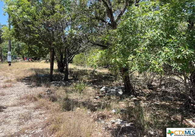 4th image of 619 Cactus Flower, Canyon Lake, TX 78133 | MLS# 518538