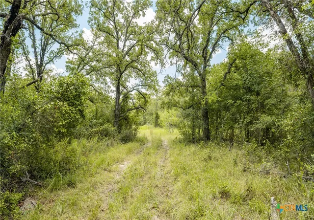 Photo 1 of Land for sale at 418 B County Road 405, Buckholts, TX 76518 | MLS# 519629 | Listing updated on 2026-06-29