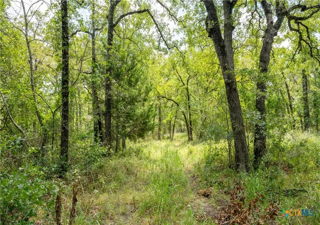 Photo 3 of Land for sale at 418-B County Road 405, Buckholts, TX 76518 | MLS# 519629 | Listing updated on 2026-06-29