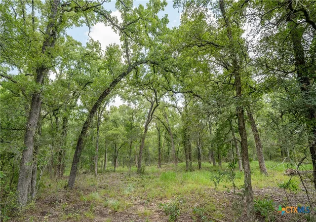 Photo 1 of Land for sale at 418 C County Road 405, Buckholts, TX 76518 | MLS# 519630 | Listing updated on 2026-06-29