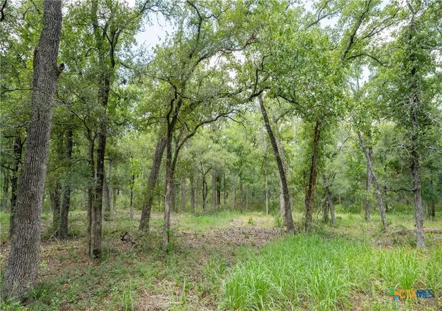 Photo 3 of Land for sale at 418-C County Road 405, Buckholts, TX 76518 | MLS# 519630 | Listing updated on 2026-06-29