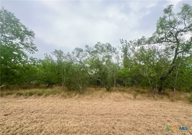 Homes for sale in Smiley, TX | Lot 3 Wisteria Ln, Smiley, TX 78159 | MLS# 522065